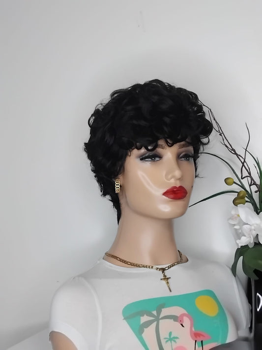 Perruque afro couleur noire ,couleur comme sur la photo